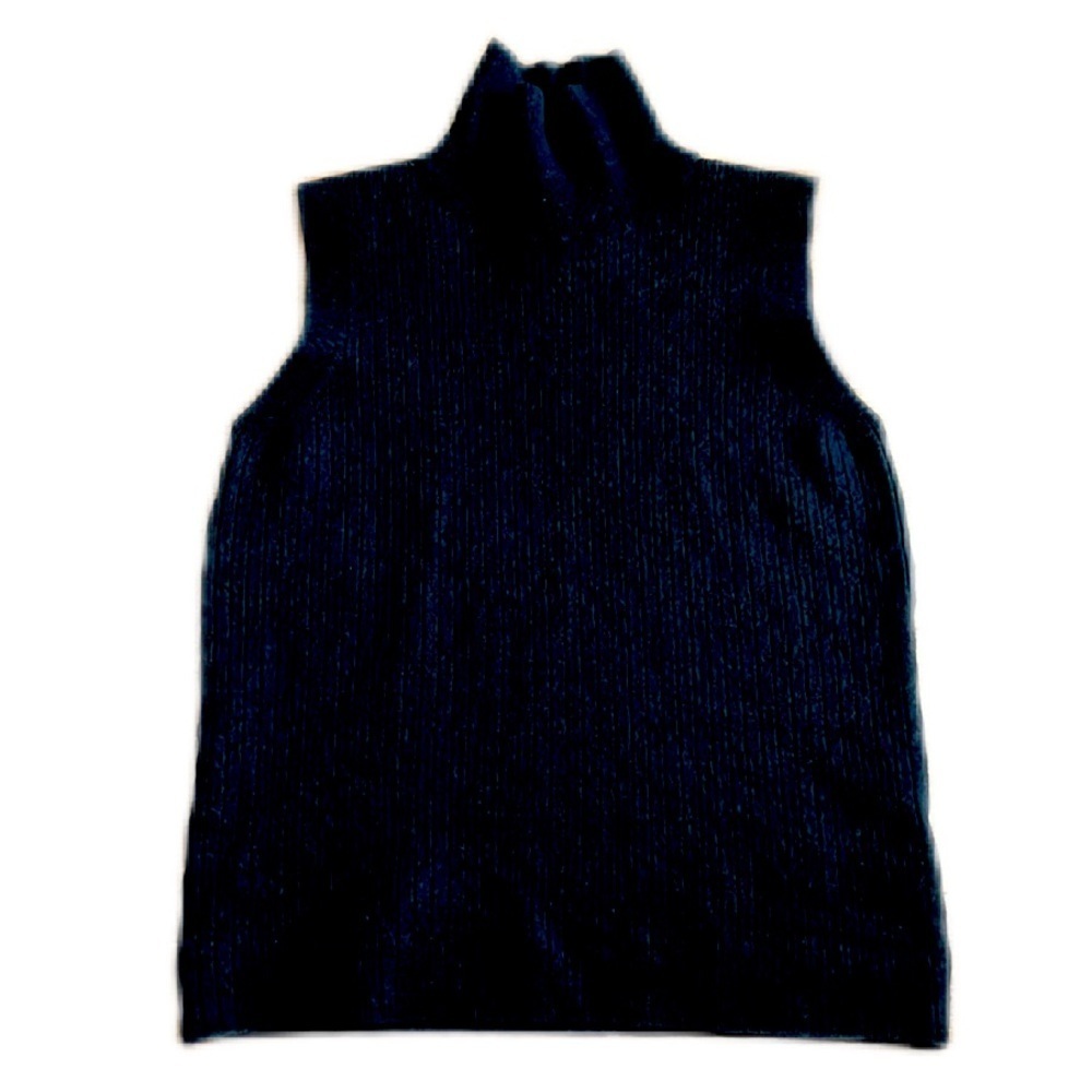 Everlane The Chunky Wool Sleeveless Turtleneck Black Sweater Top